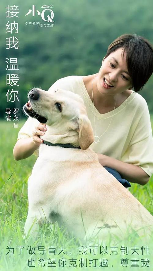 定制日本第一福祉大学文凭毕业证
